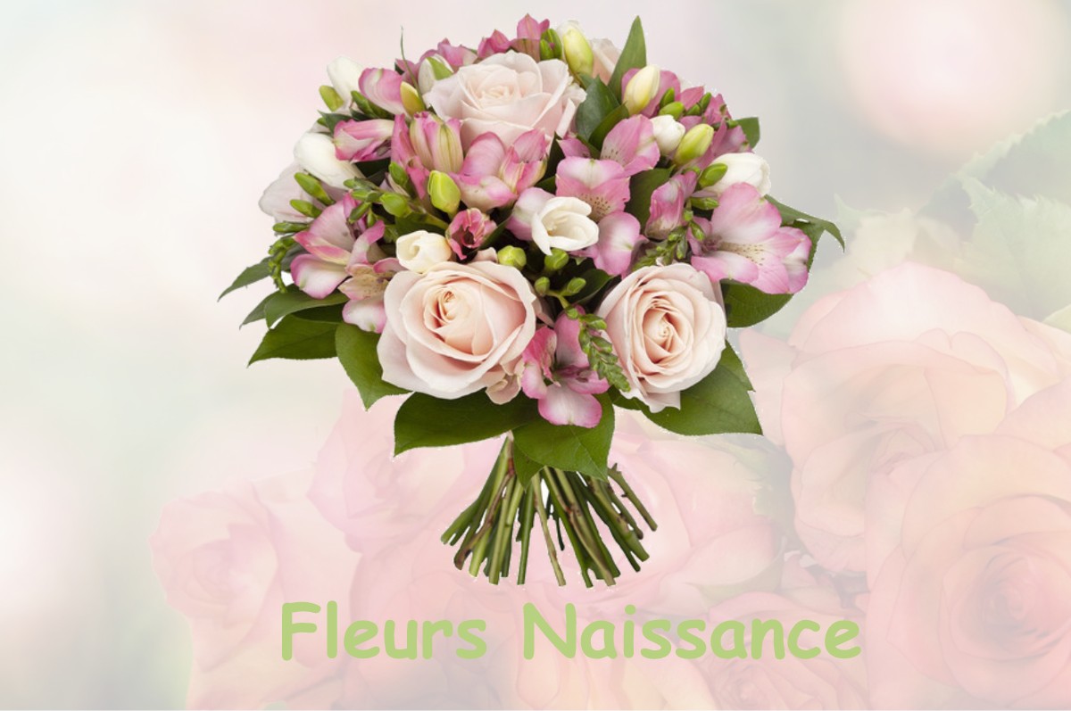 fleurs naissance COINCES