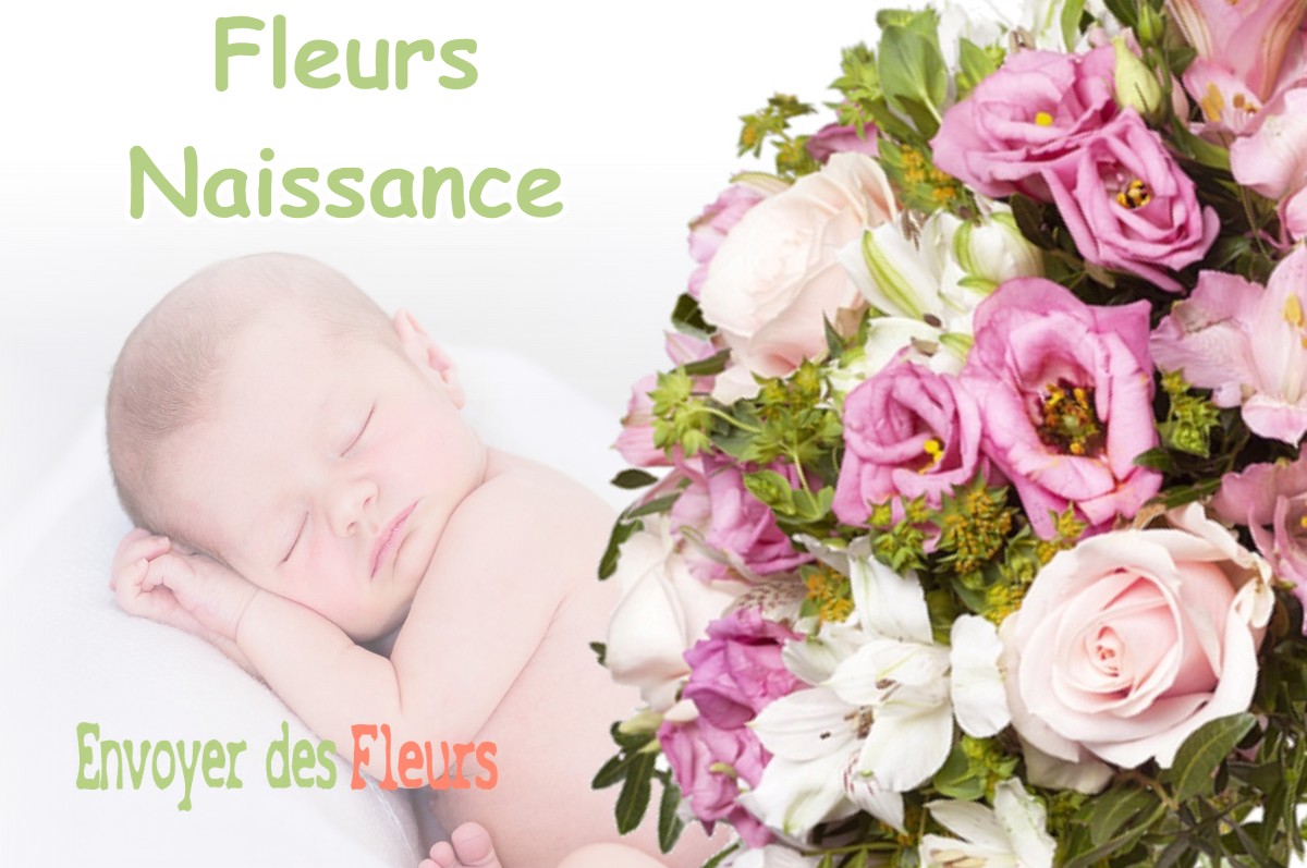 lIVRAISON FLEURS NAISSANCE à COINCES